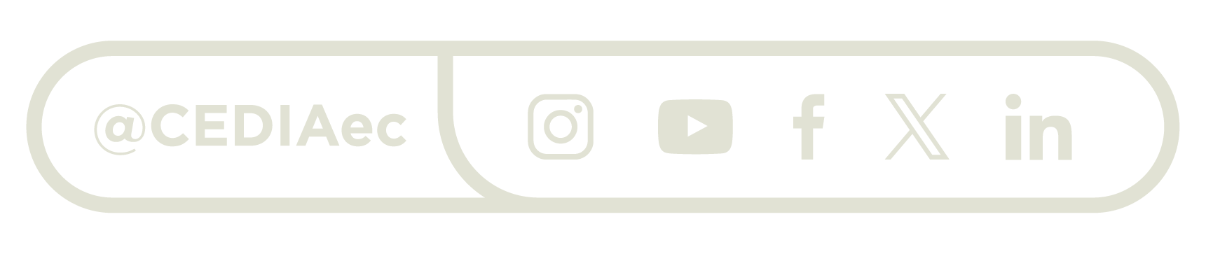 @CEDIAec Instagram · YouTube · Facebook · X · LinkedIn